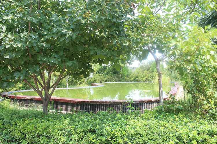 金泰機械廠區(qū)環(huán)境優(yōu)美