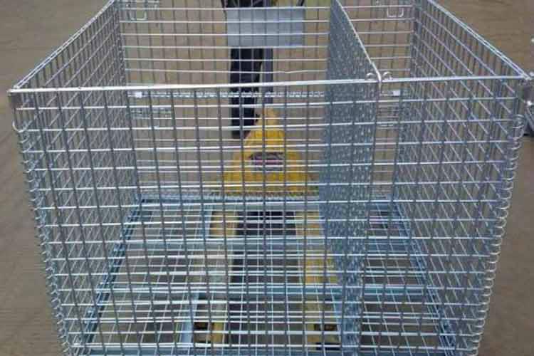 倉(cāng)儲(chǔ)美固籠